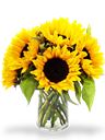 Bouquet solare compatto