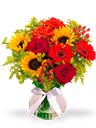 Bouquet solare compatto