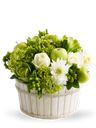 Composizione chic di fiori verdi