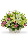Composizione raffinata nei toni bianco-rosa