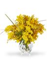 Bouquet di mimosa