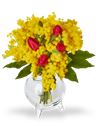 Bouquet di mimosa con tulipani