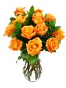 12 rose arancio a bouquet