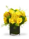 Bouquet tondo solare