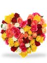 Composizione a Cuore vivace