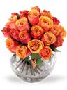 Bouquet compatto solare