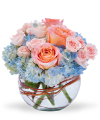 Bouquet compatto