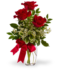 3 rose rosse