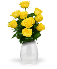 9 rose gialle