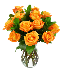 12 rose arancio