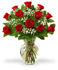 12 rose rosse