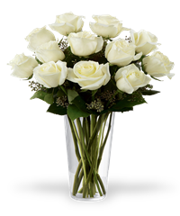 12 rose bianche