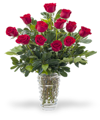 12 Rose rosse