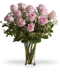 12 rose rosa