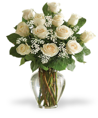 12 rose bianche