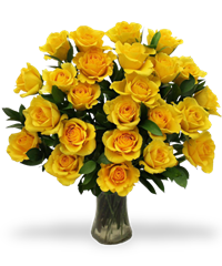 Rose gialle