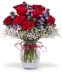 Rose rosse