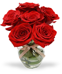 6 rose rosse