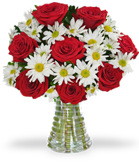 Rose rosse