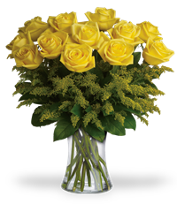12 rose gialle