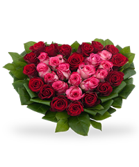 Cuore
