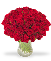 Bouquet di rose