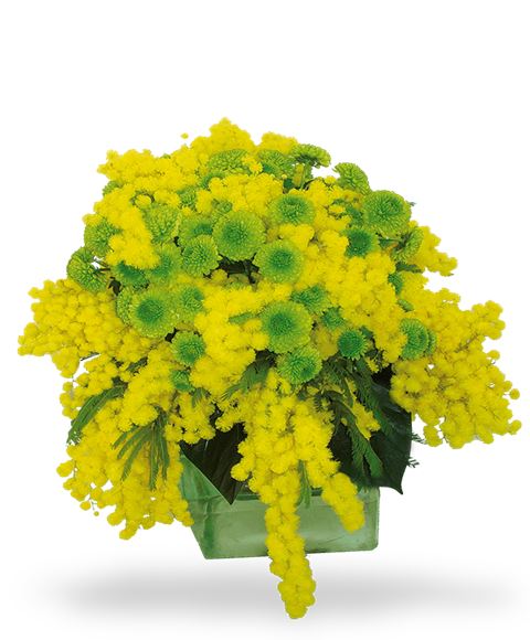 Bouquet
