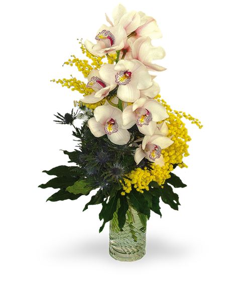 Mazzo di mimosa