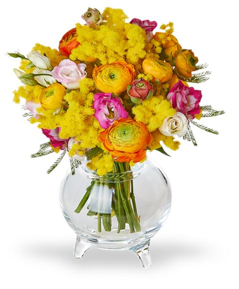 Bouquet di mimosa